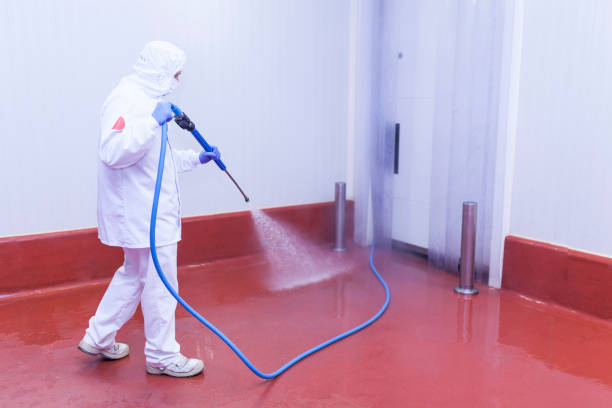 Best Parking Lot Cleaning in Dalton Gardens, ID